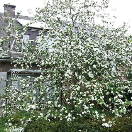 Guestrooms Bij Het Station Drongen * Gand