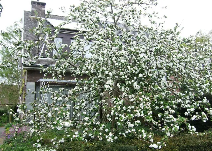 Guestrooms Bij Het Station Drongen * ヘント